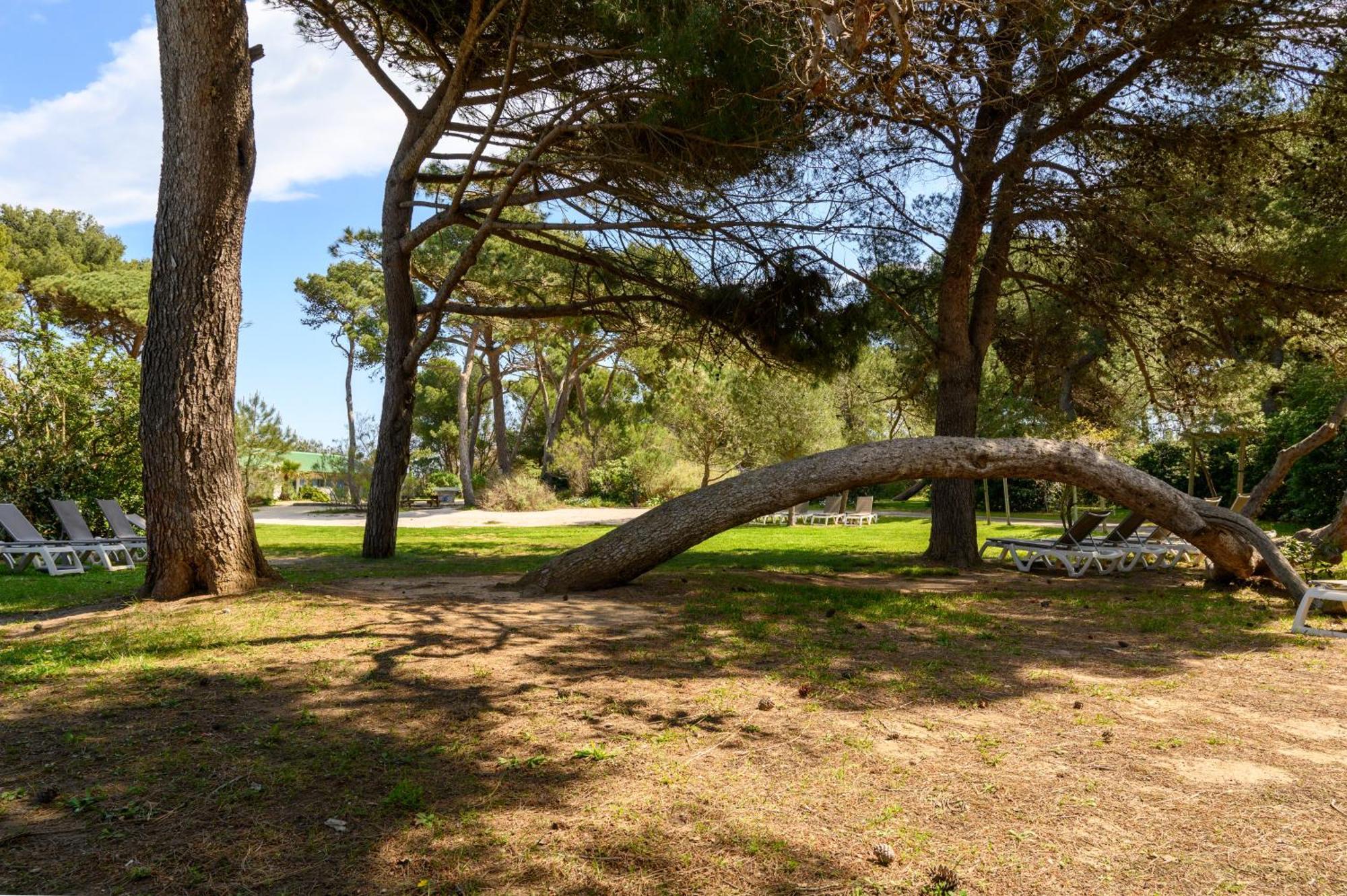 Le Studio De Giens Hyères Eksteriør bilde